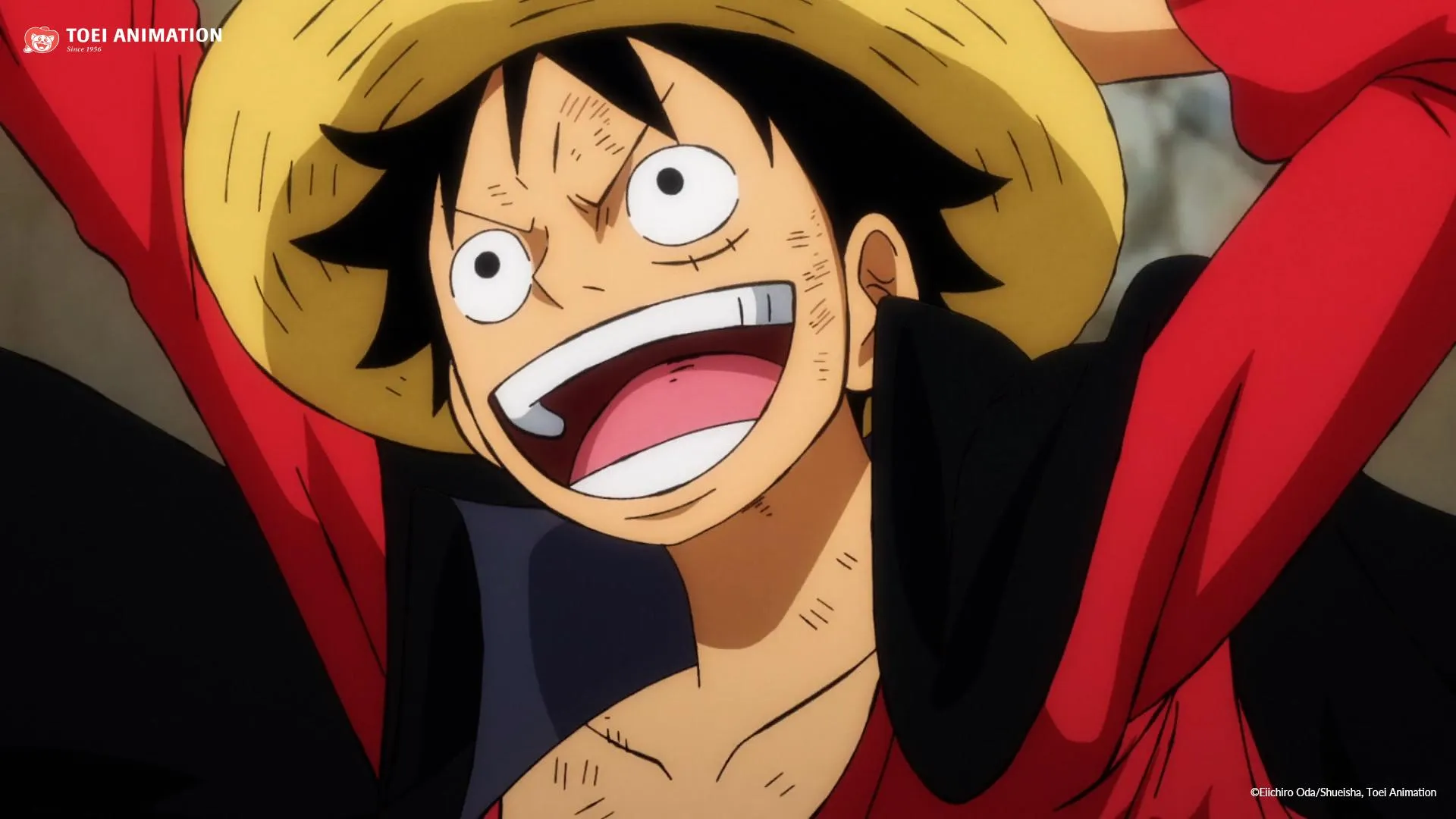 One Piece: The Legendary Adventure of Monkey D. Luffy and the Straw Hat Pirates