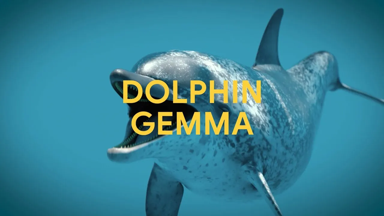 Google's DolphinGemma: How AI Could Help Humans Understand Dolphins - Image 
