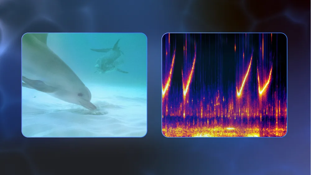 Google's DolphinGemma: How AI Could Help Humans Understand Dolphins - Image 1